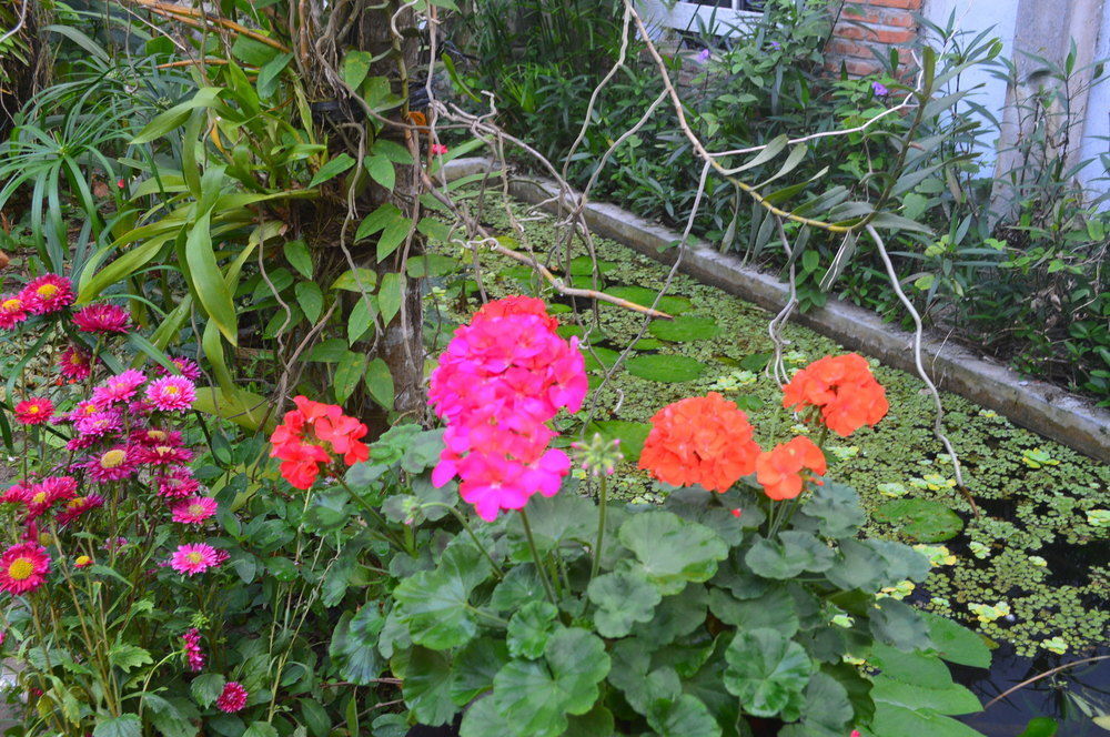 The Hoi An Orchid Garden Villas 外观 照片