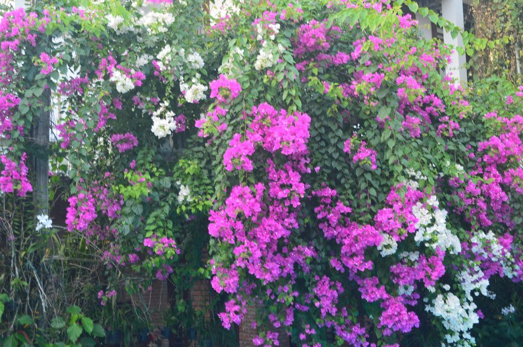 The Hoi An Orchid Garden Villas 外观 照片